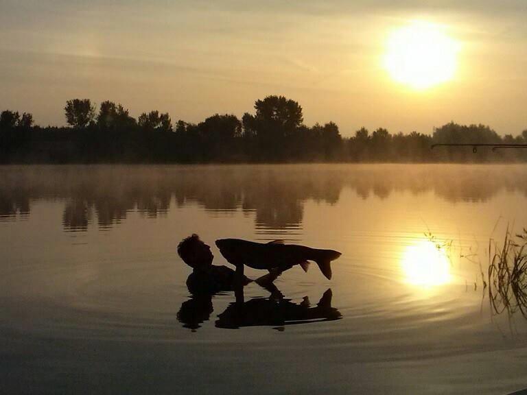 foto bune. - 56302741347326875220845581775n.jpg